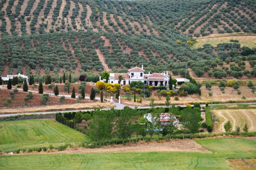 Cortijo Sabila Guest House Villanueva del Rosario Екстериор снимка